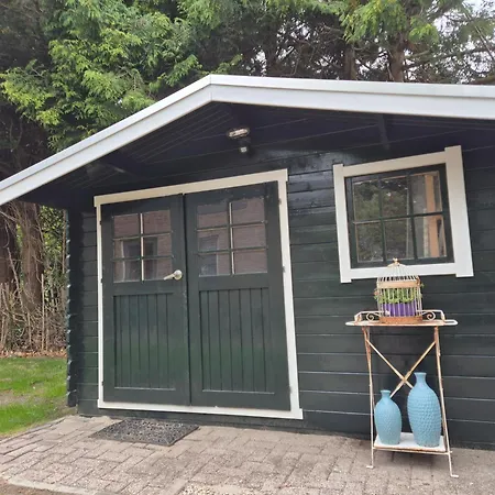 Vogelrijk 24, Voor Familie, Dichtbij Zee En Amsterdam * 阿特斯伍德