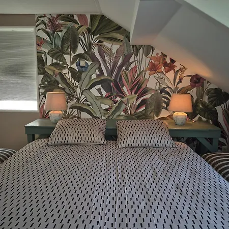 Vogelrijk 24, Voor Familie, Dichtbij Zee En Amsterdam